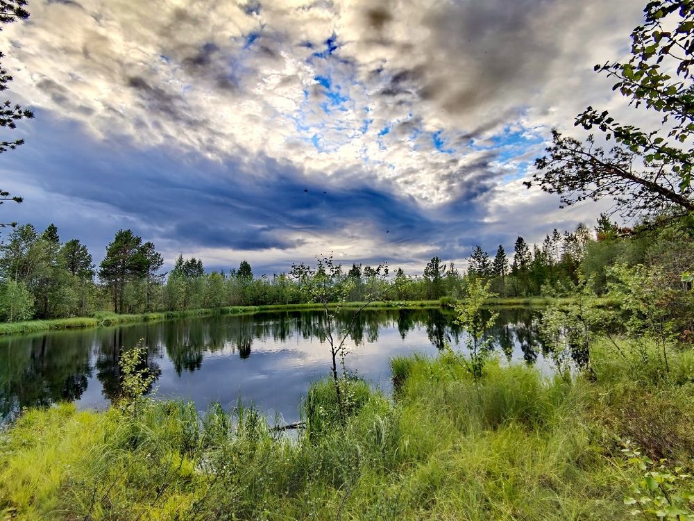 Photograph by Вероника Алиризаева