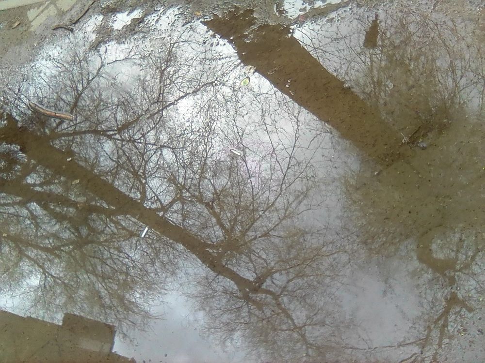 Photograph by Марта Васильева