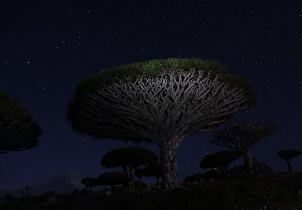 Photograph by Ольга Максимушкина