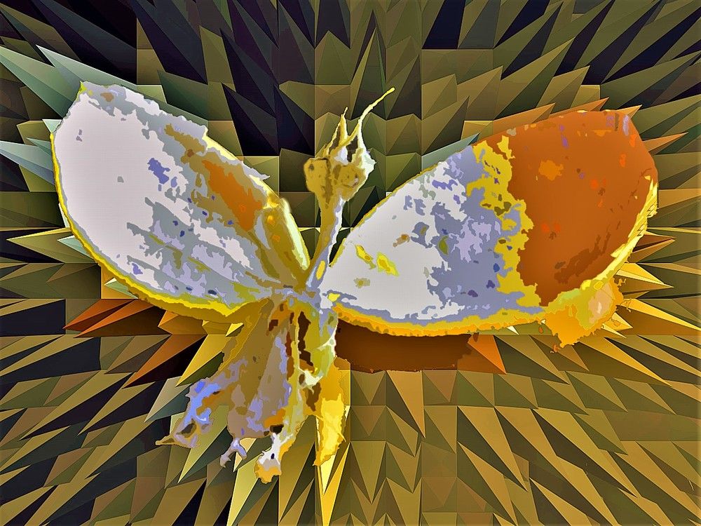 Photograph by UWE SÜSSMANN