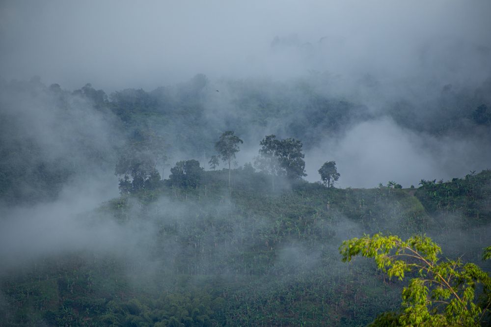 Photograph by Luis Manuel Jiménez Tabares