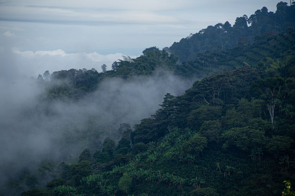 Photograph by Luis Manuel Jiménez Tabares