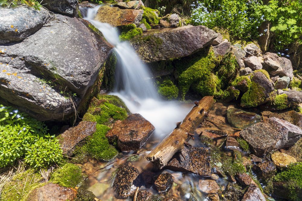 Photograph by Аскар Баймухамедов
