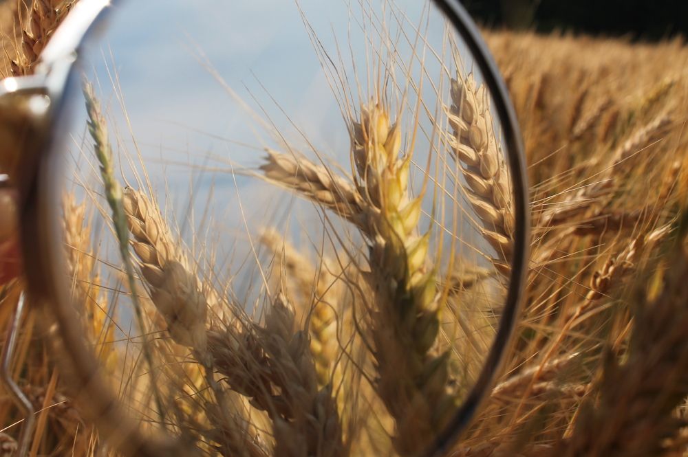 Photograph by Дарья Ващенко-Панкина