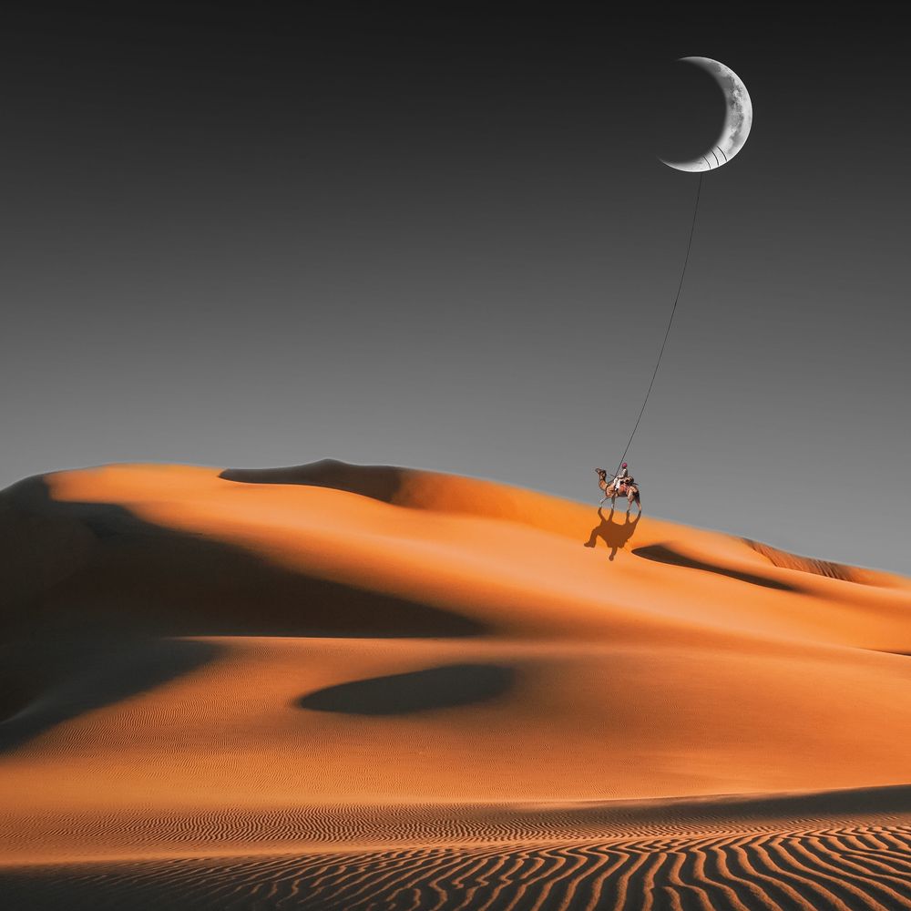 Photograph by Alireza Moghimi