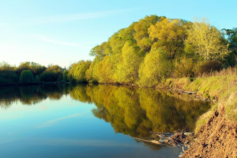 Photograph by Дарья Ващенко-Панкина