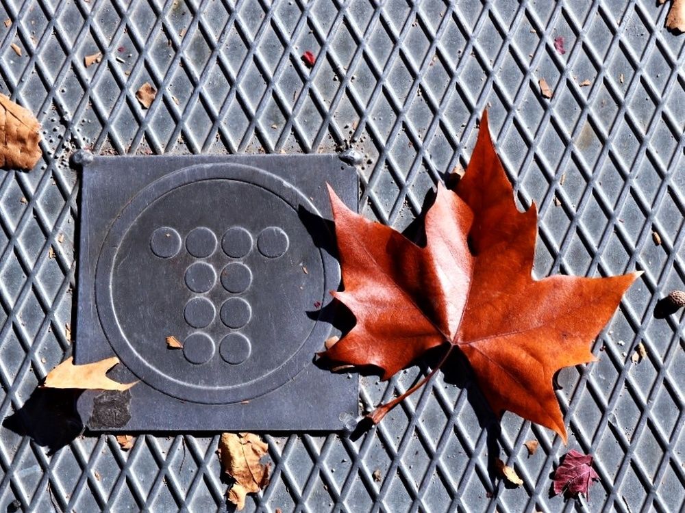 Habla con la naturaleza