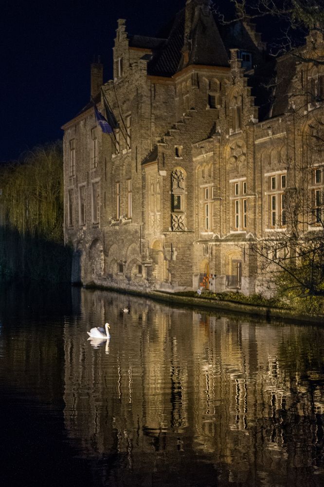 Photograph by Фирдаус Карипова