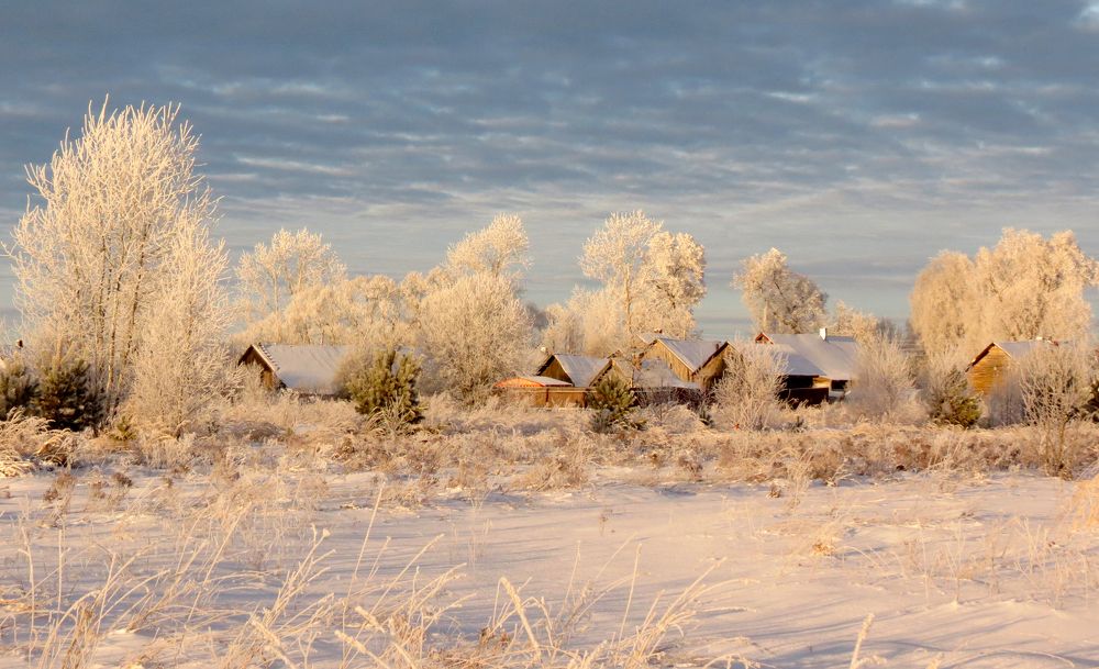 Photograph by Майя Синичкина