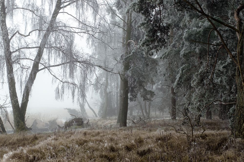 Photograph by Rolandas Valančauskas