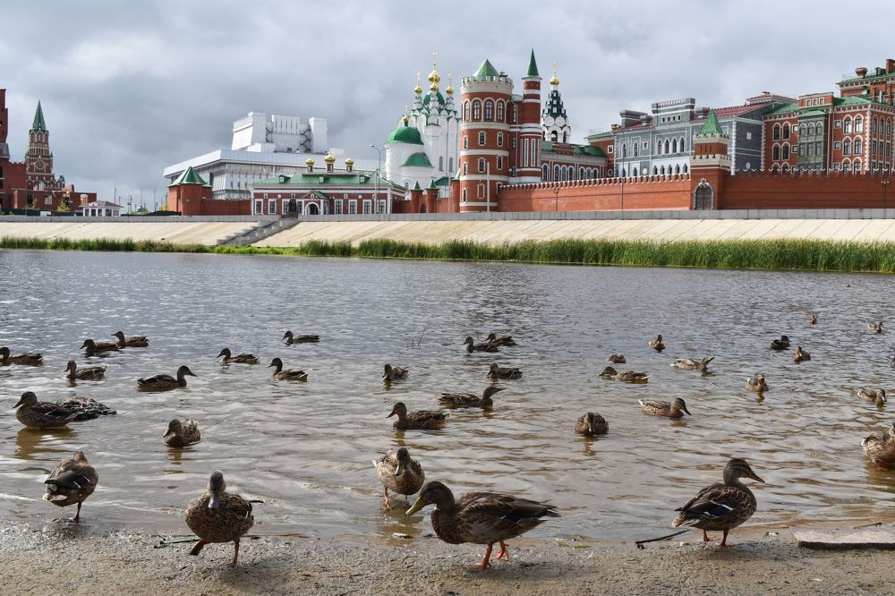 Photograph by Александра