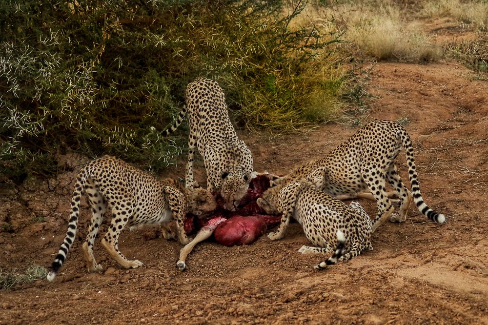 Фотография автора Cláudia Maria Fialho Garcia