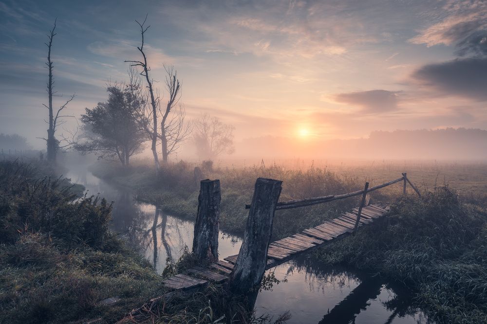 Photograph by Tomczak Michał