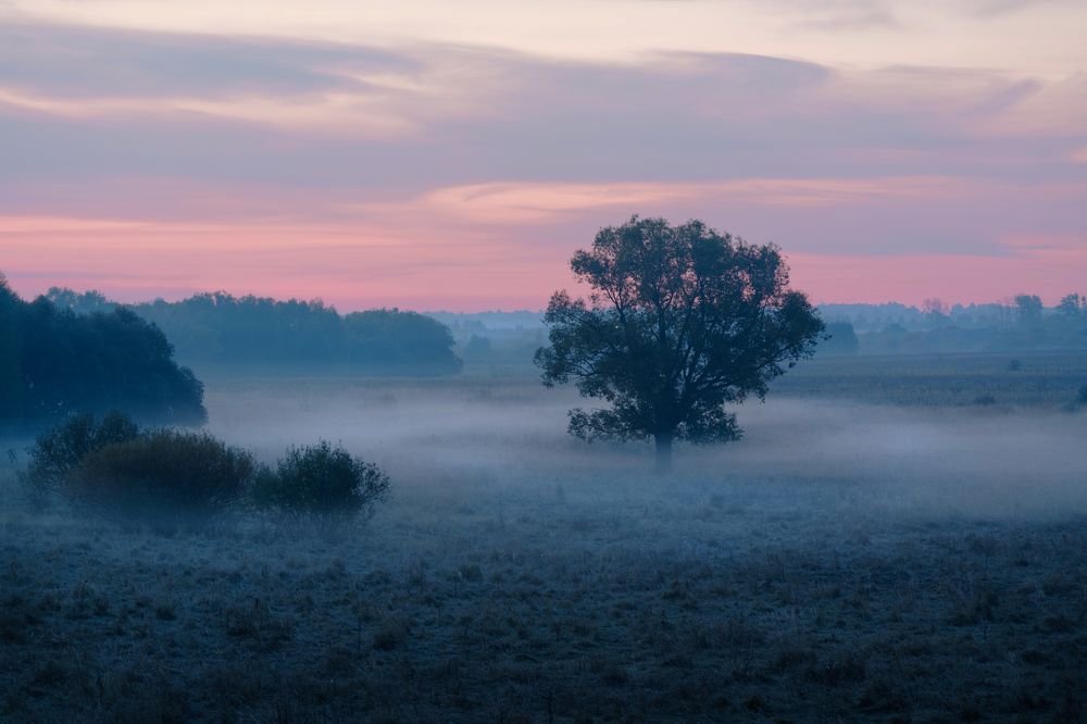 Photograph by Григорий Шалик