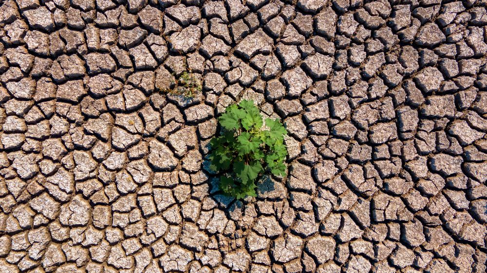 Photograph by Михаил Домешек