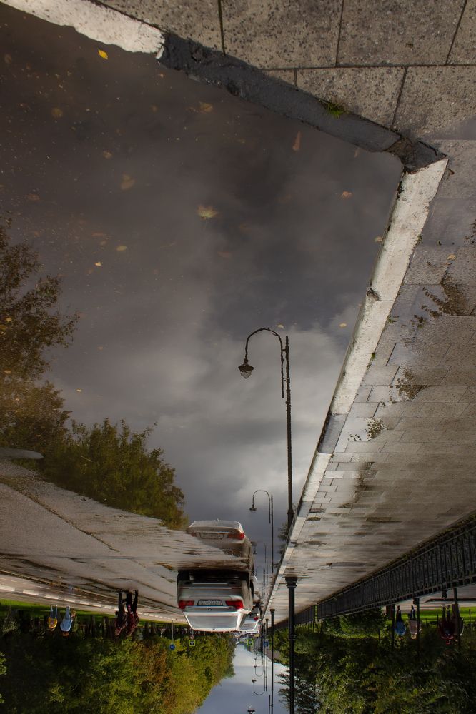 Зазеркалье лужи в Коломне