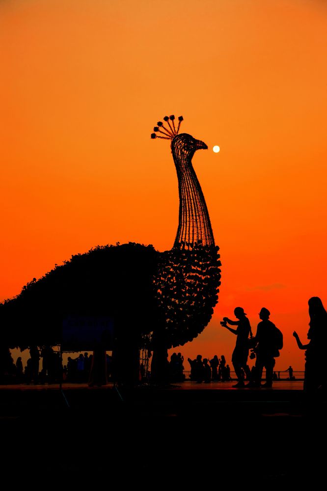 Фотография автора Tính Nguyễn