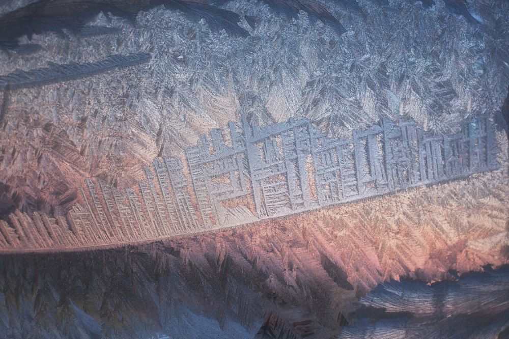 Внеземная цивилизация