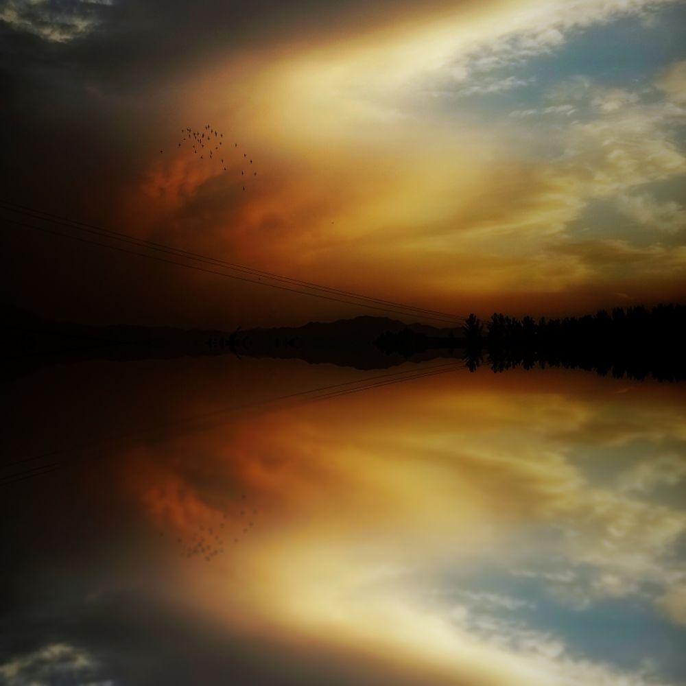 Photograph by Hannaneh Akhoondi