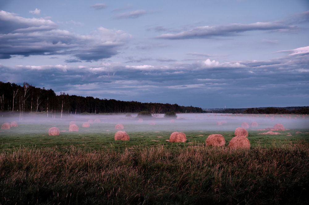 Фотография автора Владимир Эделев