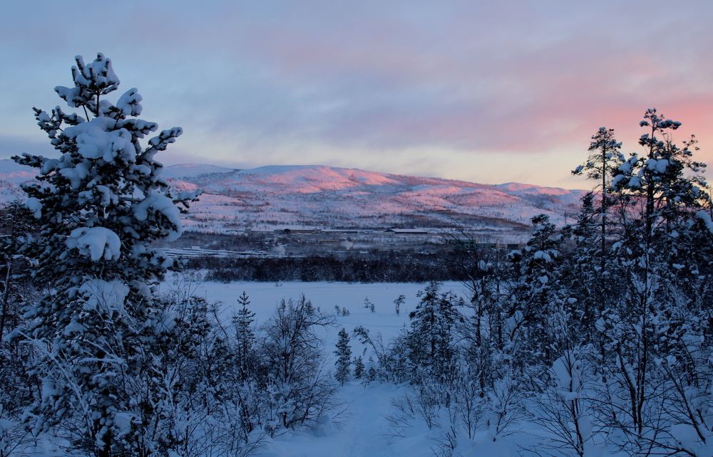 Photograph by Ирина Чечкина