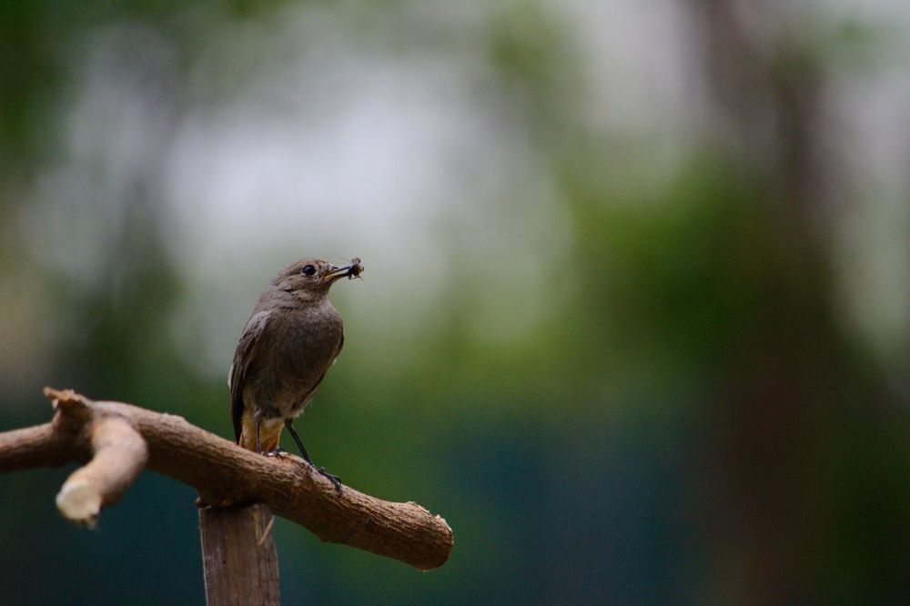 Photograph by Filip Betko