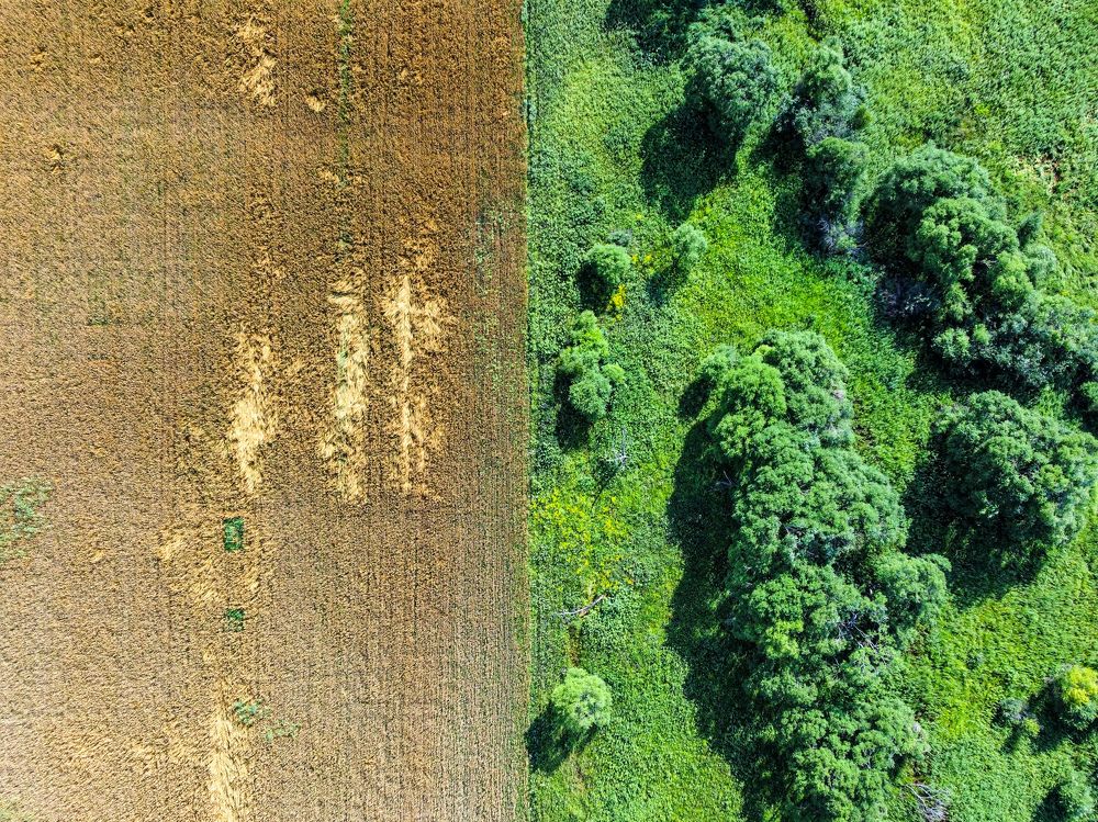 Photograph by Максим Стальмаков