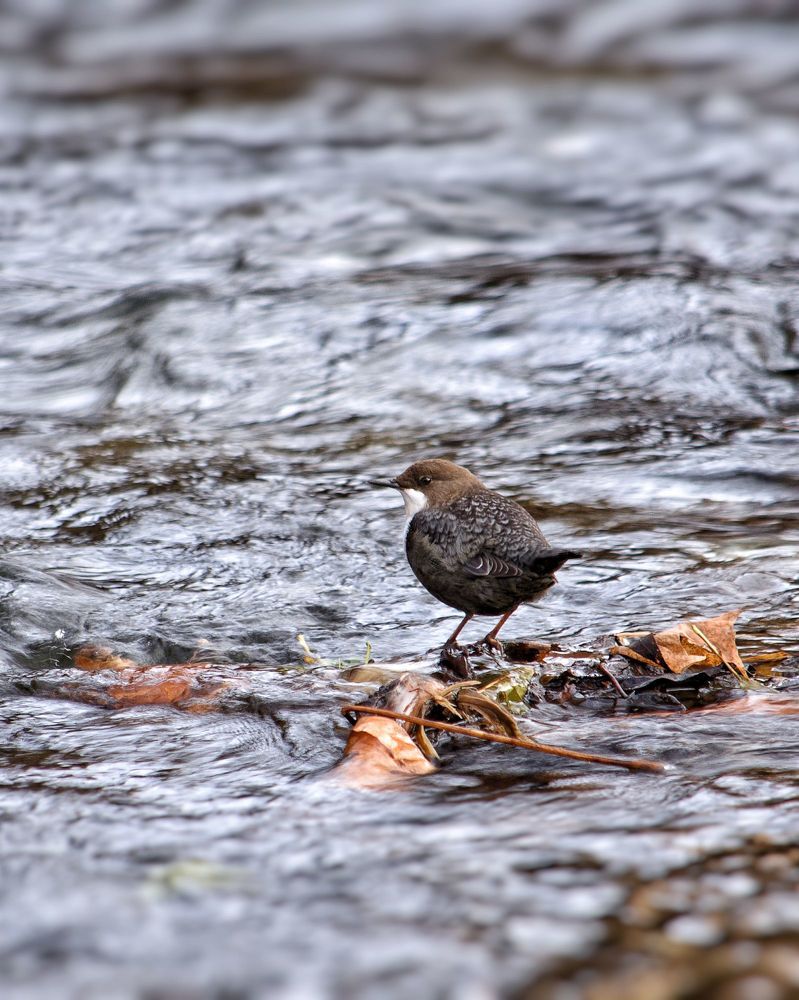 Photograph by Filip Betko