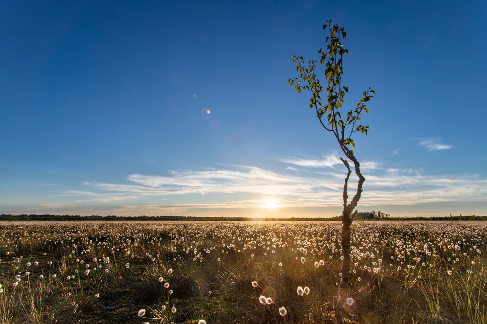 Photograph by Александр Кузнецов