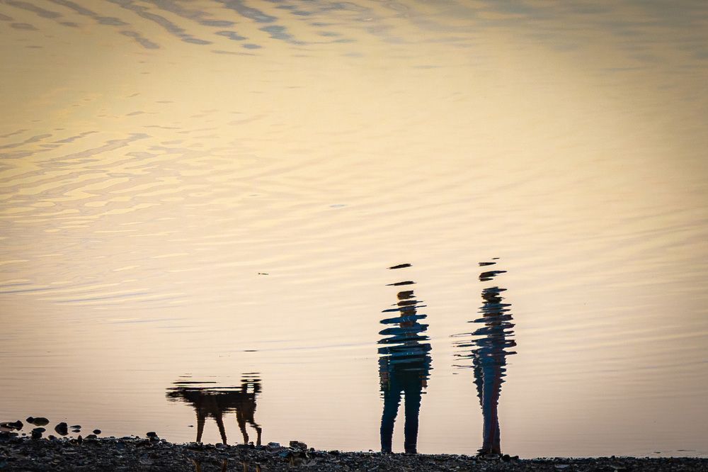 Разговор на прогулке