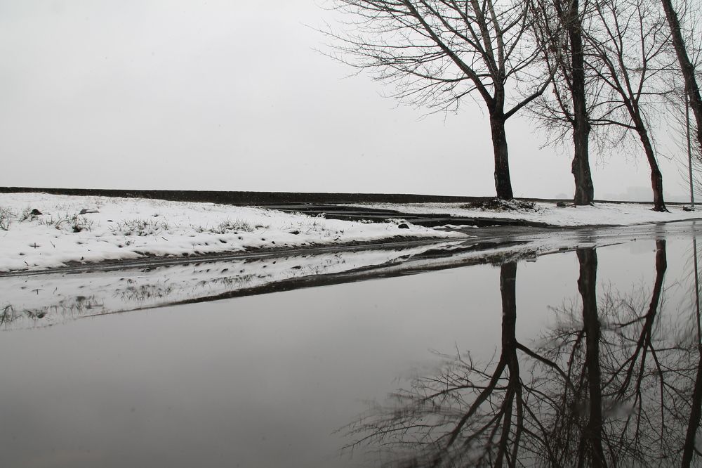 Photograph by Артем Илошваи