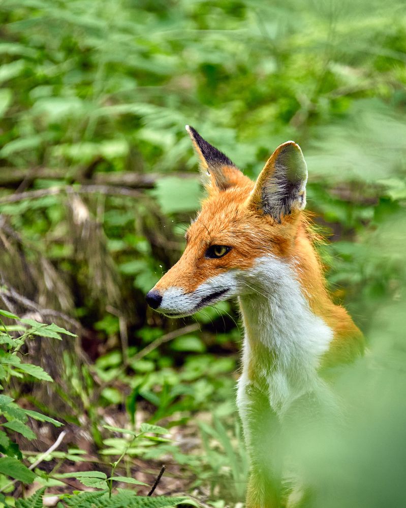 Photograph by Сергей