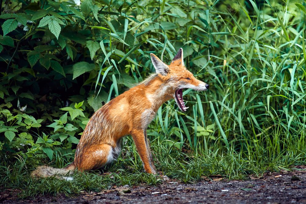 Photograph by Сергей