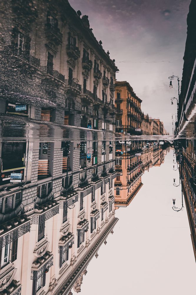 Photograph by Pablo D'Andrea