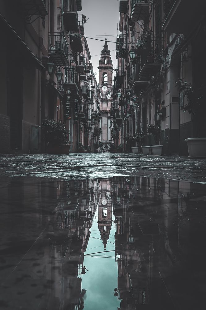 Photograph by Pablo D'Andrea