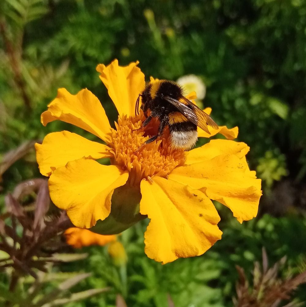 Photograph by Мария