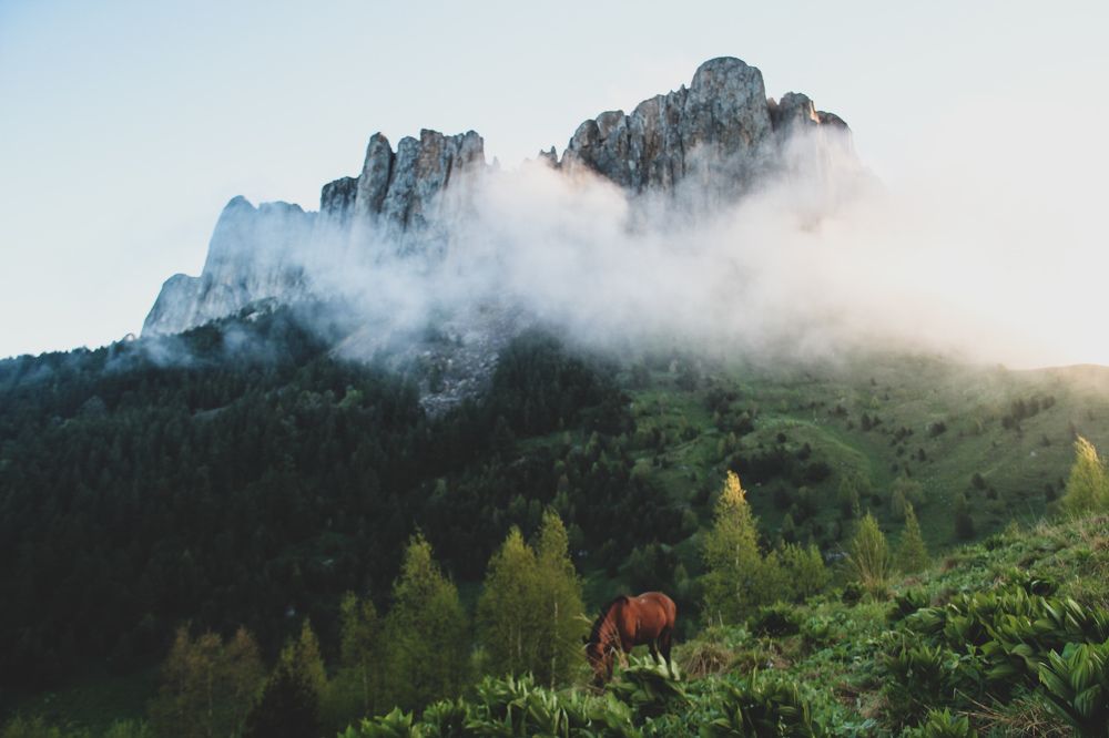 Фотография автора OXANA MARSOVA