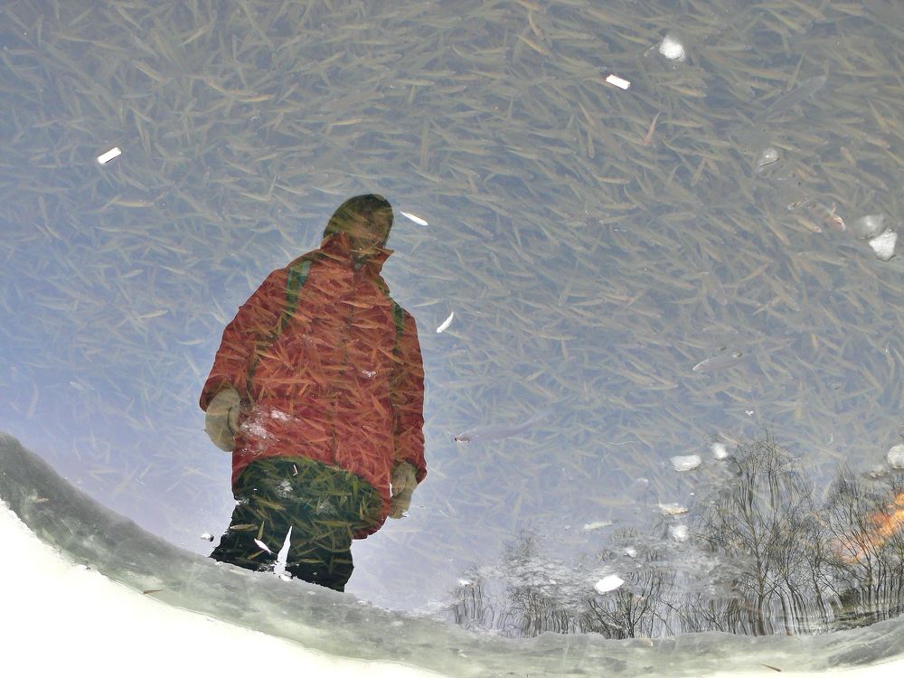 Фотография автора Клавдия Васильева