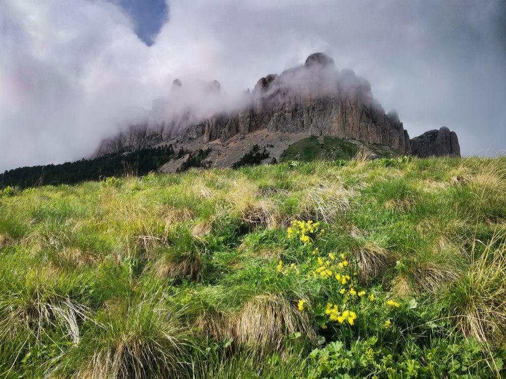 Фотография автора OXANA MARSOVA