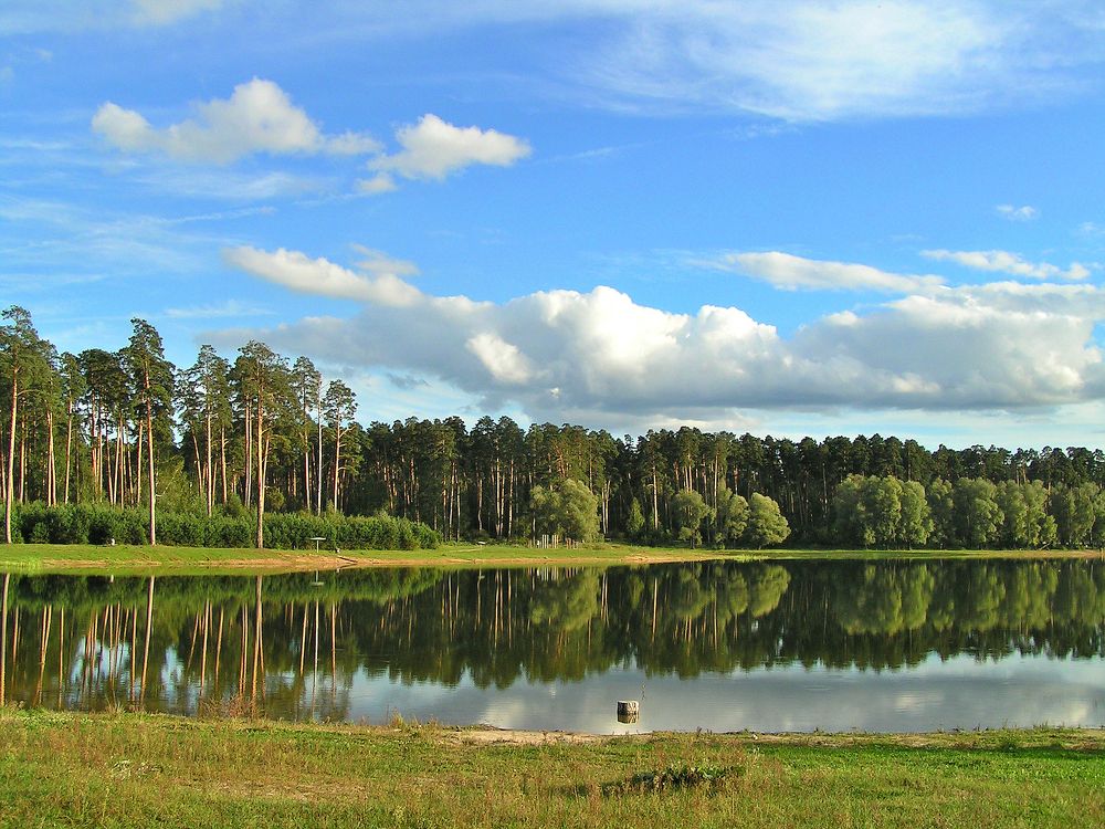 Фотография автора Клавдия Васильева