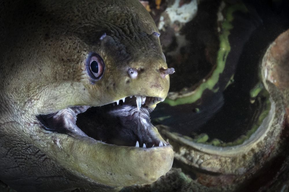 Photograph by Дериглазова Марина Владимировна