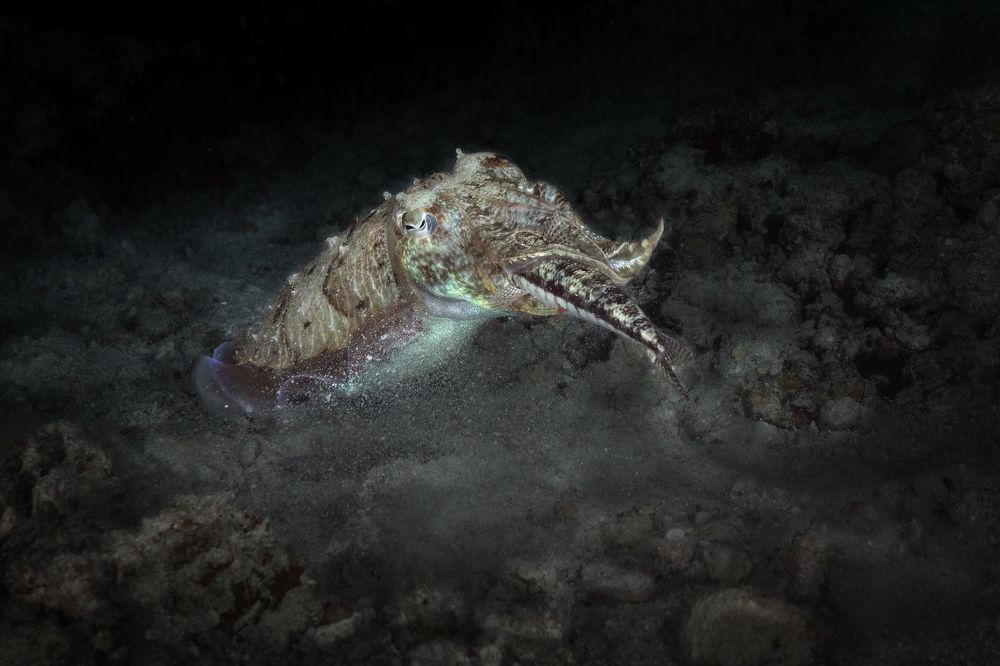 Photograph by Дериглазова Марина Владимировна