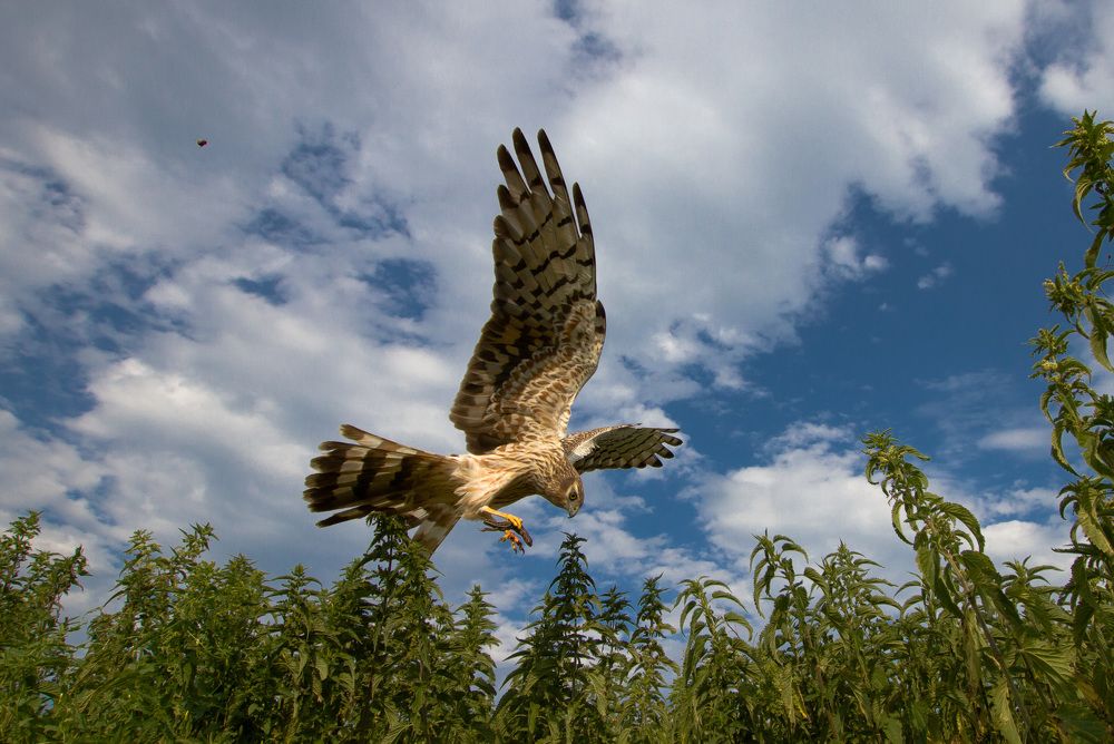 Photograph by Сергей Адамов