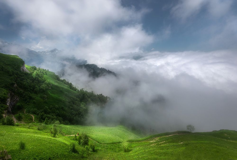 Photograph by Наргиза Кахарова