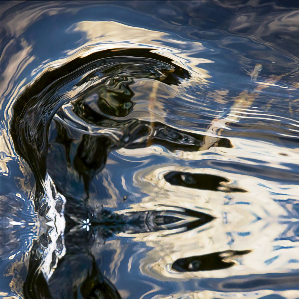 Photograph by Сергей Чарушин