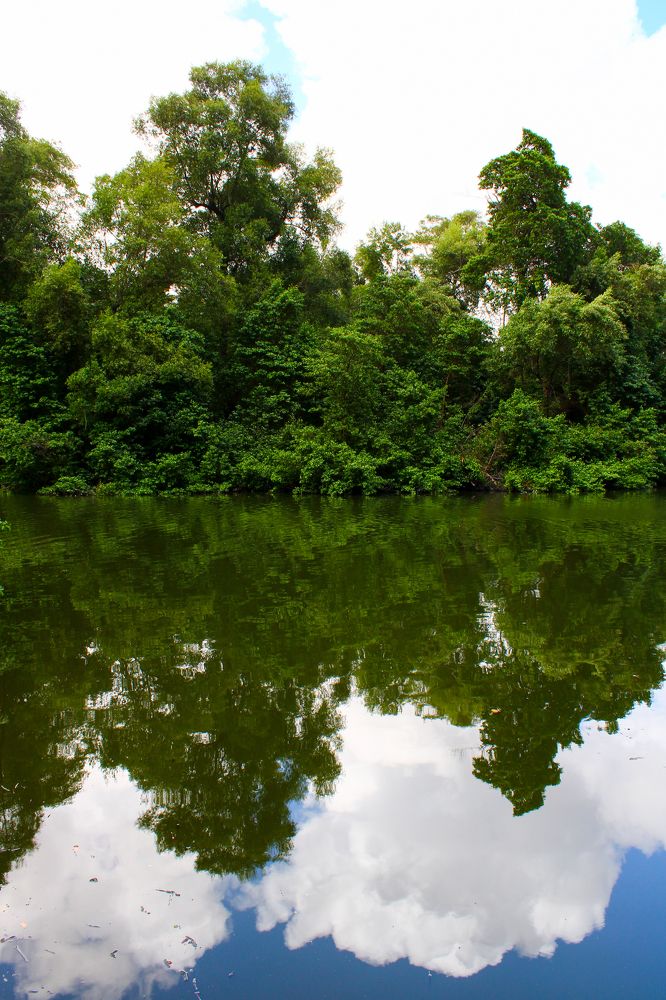 Фотография автора Cavalcante Pinheiro Filho José Flávio
