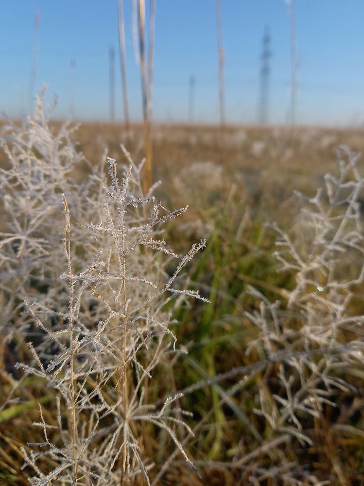 Photograph by Светлана Литвиненко