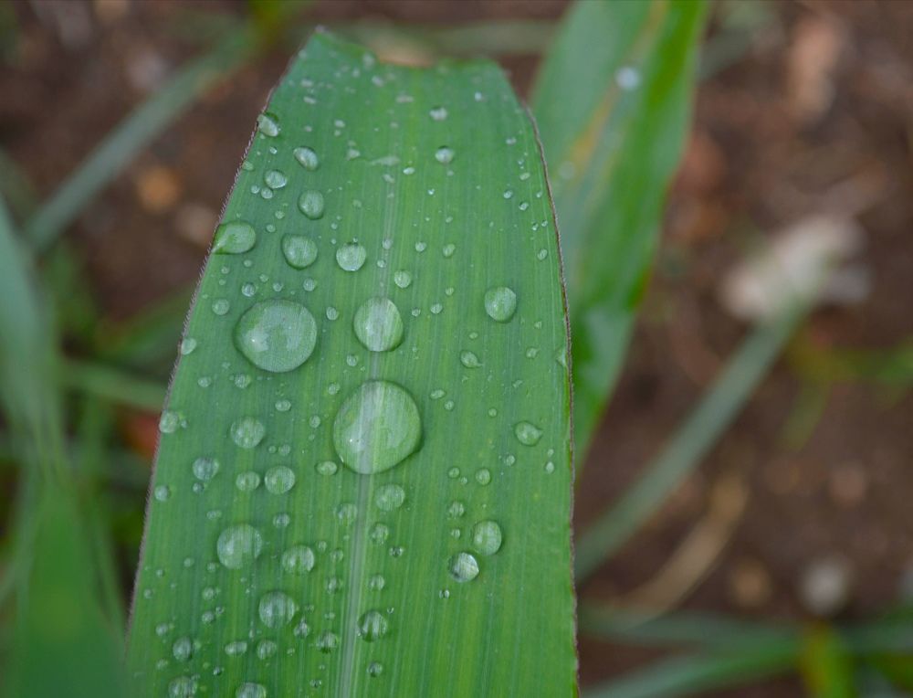 Photograph by Getrude Shamiso Manase