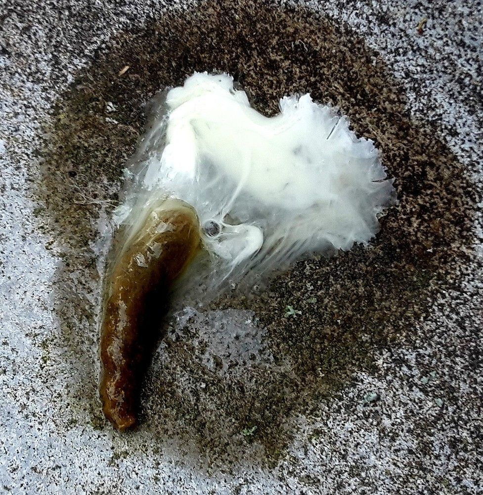 Photograph by Pēteris Sidars
