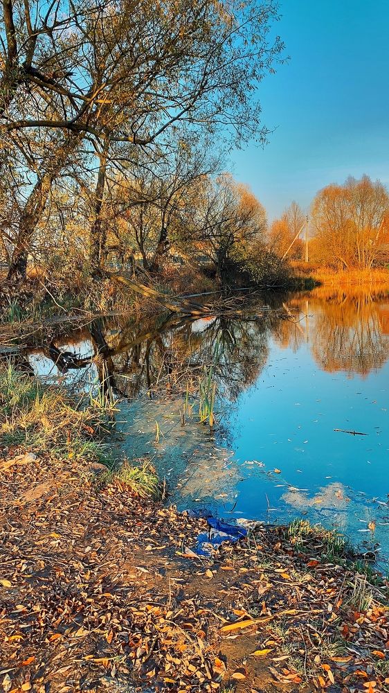 Photograph by Евгения